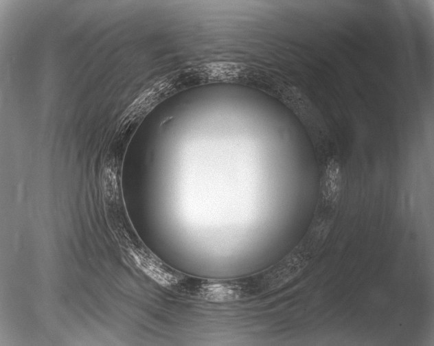 X0000086250522200703291410