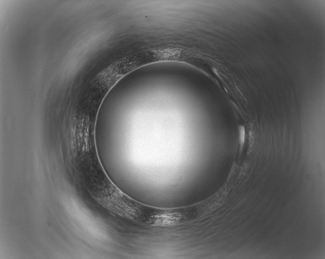 X0000086250525200703291410