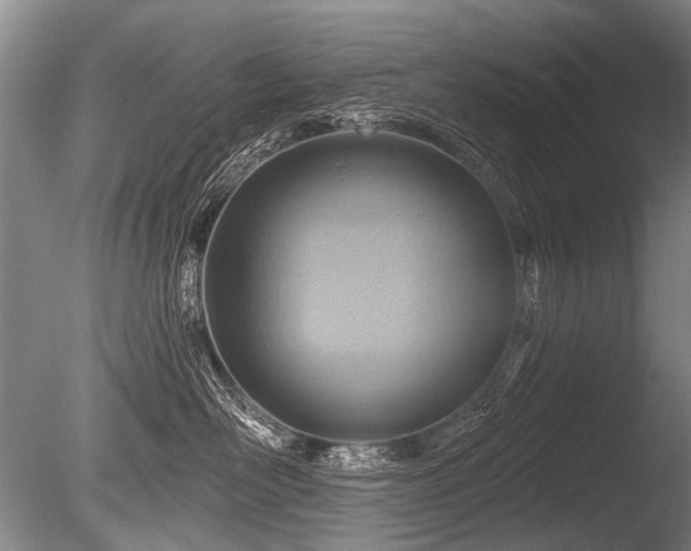 X0000086250526200703291410