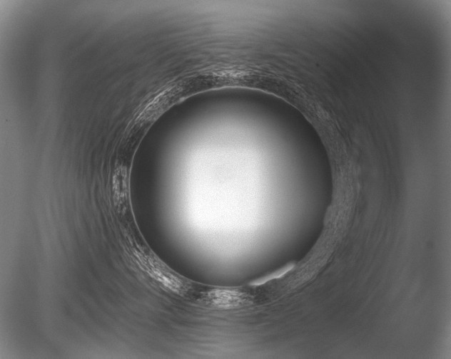 X0000086250528200703291410