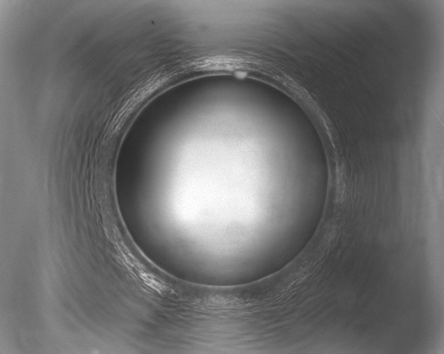 X0000086250529200703291409