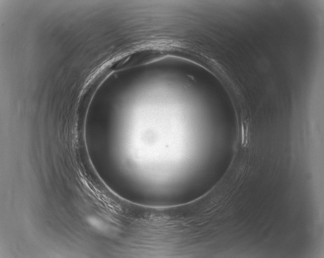 X0000086250531200703291409