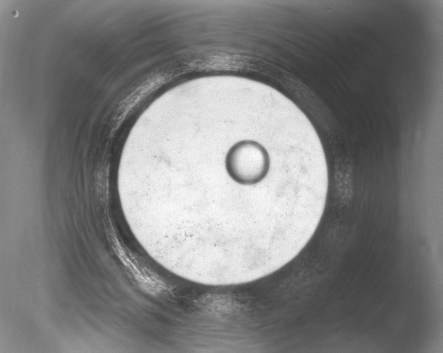 X0000086250534200703291409