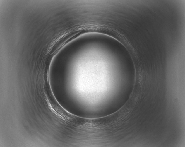X0000086250538200703291409