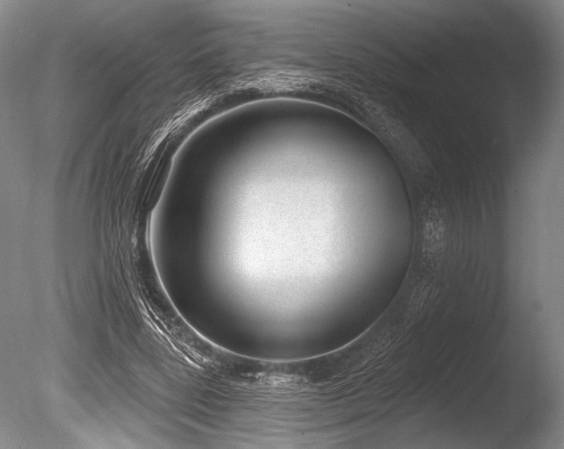 X0000086250539200703291409