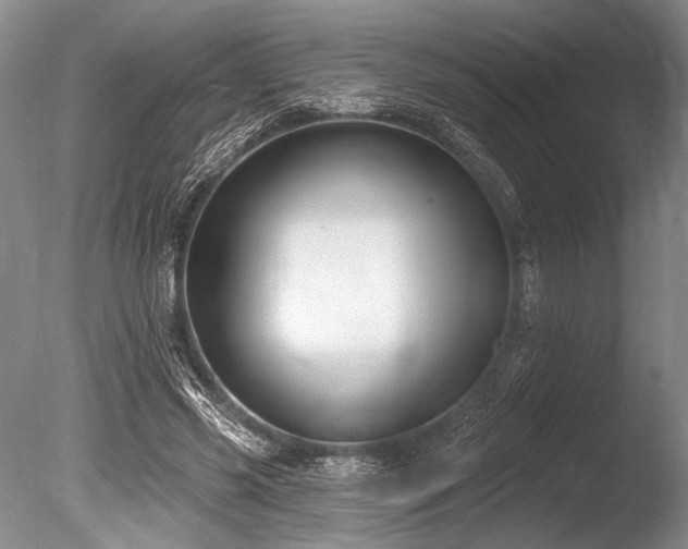X0000086250541200703291409
