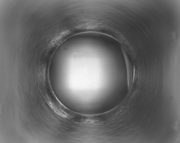 X0000086250542200703291409