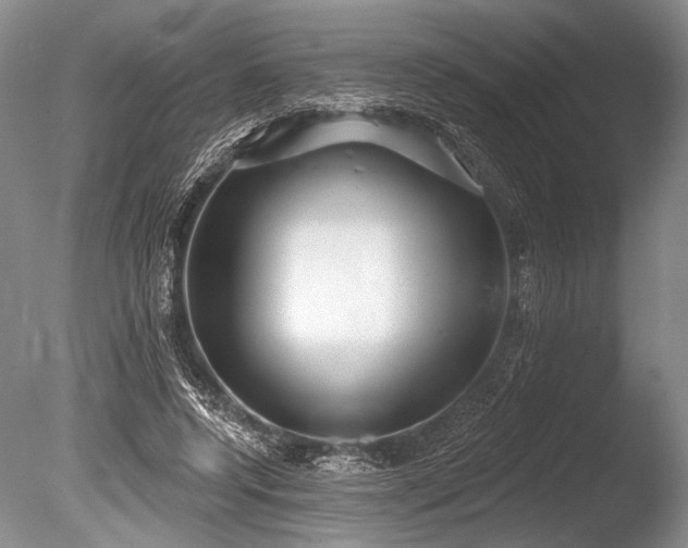 X0000086250544200703291409
