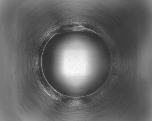 X0000086250548200703291409
