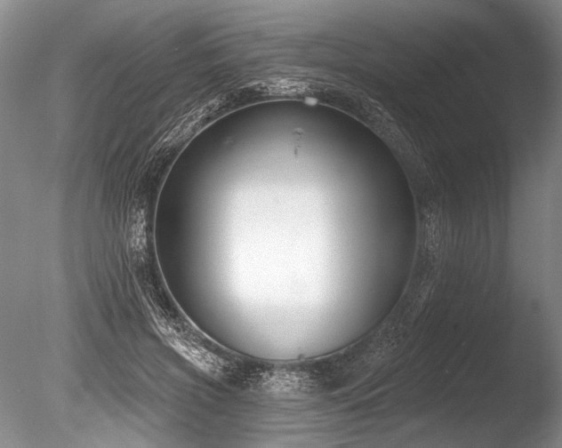 X0000086250549200703291409
