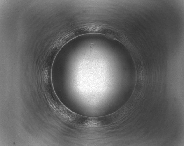 X0000086250551200703291409