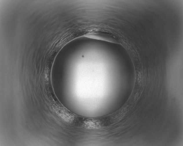 X0000086250561200703291410