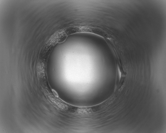 X0000086250571200703291410