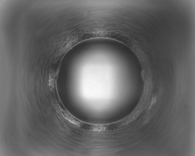 X0000086250576200703291410