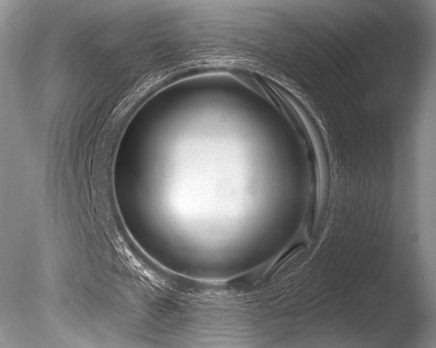 X0000086250577200703291409