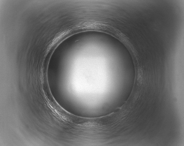 X0000086250578200703291409