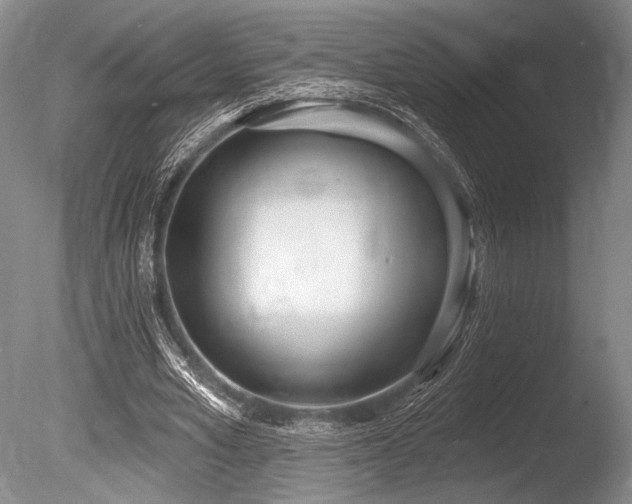X0000086250581200703291409