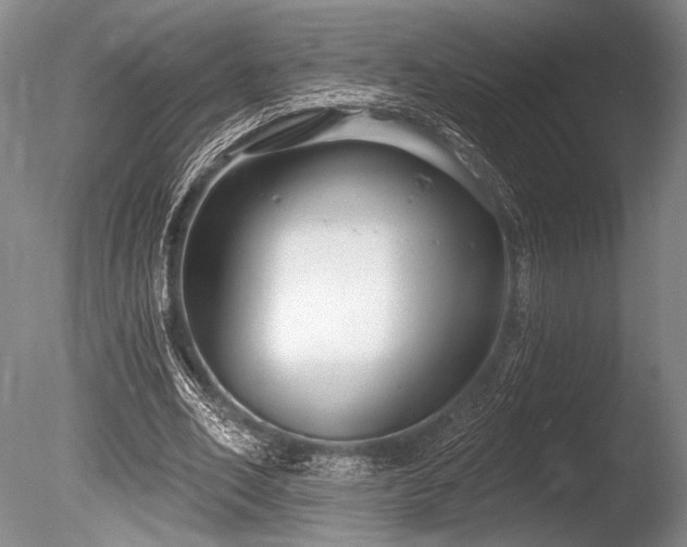X0000086250582200703291409