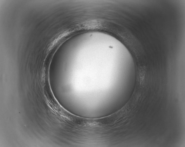 X0000086250583200703291409