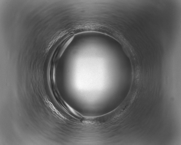 X0000086250585200703291409