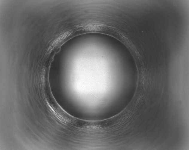 X0000086250586200703291409