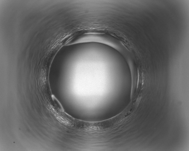 X0000086250593200703291409