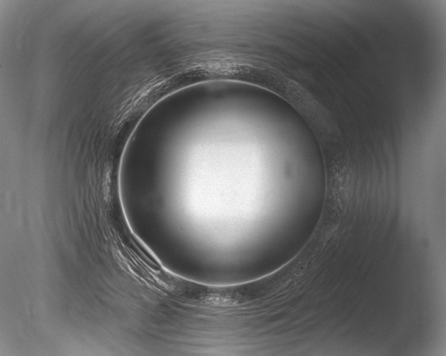 X0000086250596200703291409