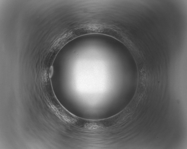X0000086250597200703291409