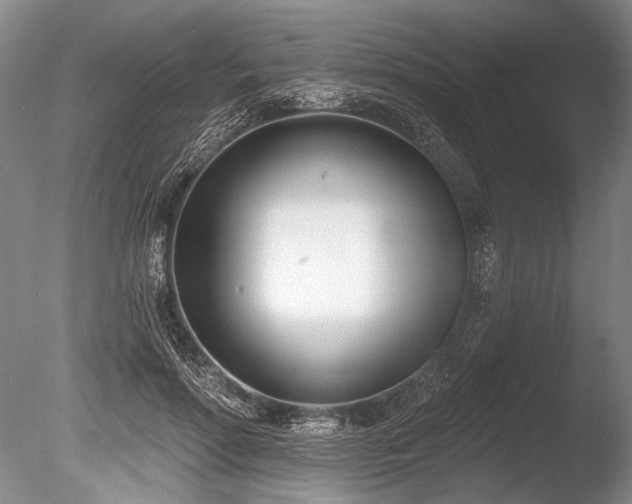 X0000086250598200703291409