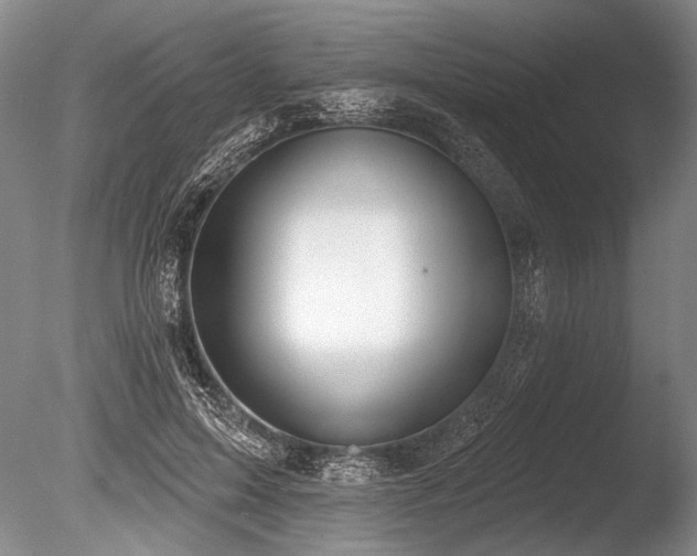 X0000086250599200703291409