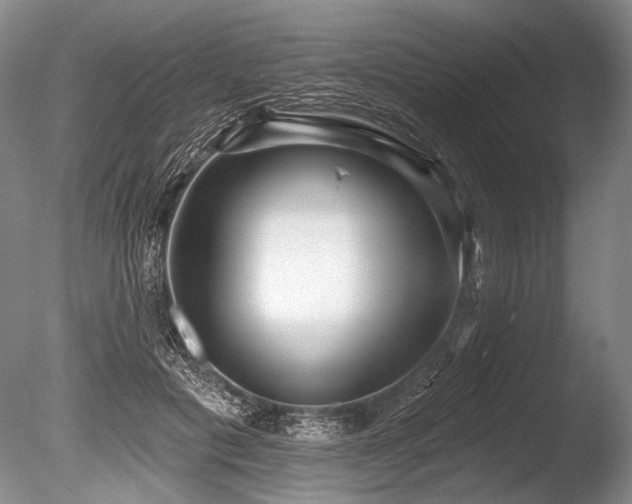 X0000086250601200703291409