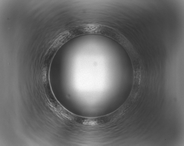 X0000086250602200703291409