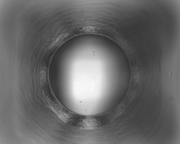 X0000086250603200703291408