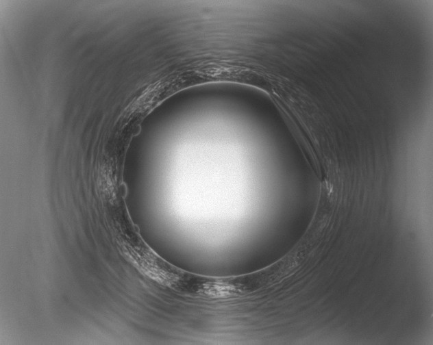 X0000086250607200703291408
