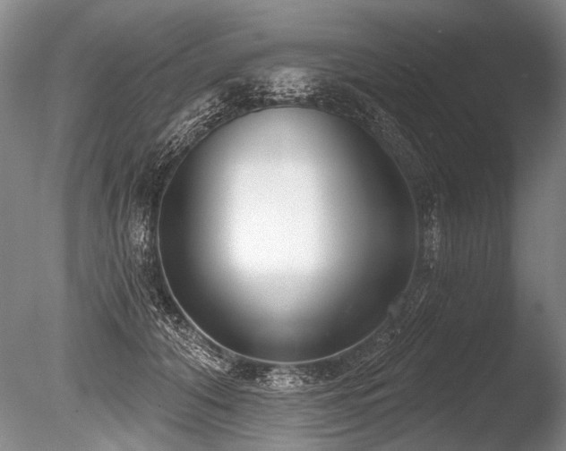 X0000086250608200703291408
