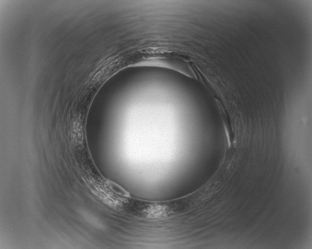 X0000086250609200703291408
