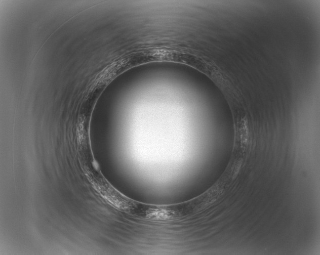 X0000086250611200703291408