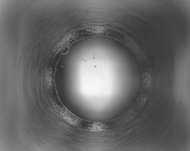 X0000086250612200703291408