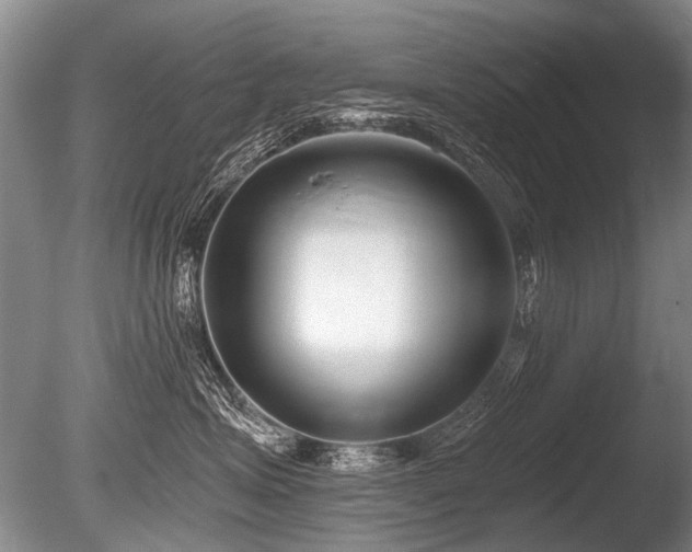 X0000086250623200703291408