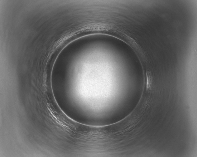 X0000086250627200703291407