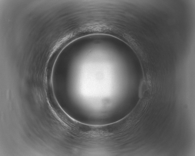 X0000086250630200703291407
