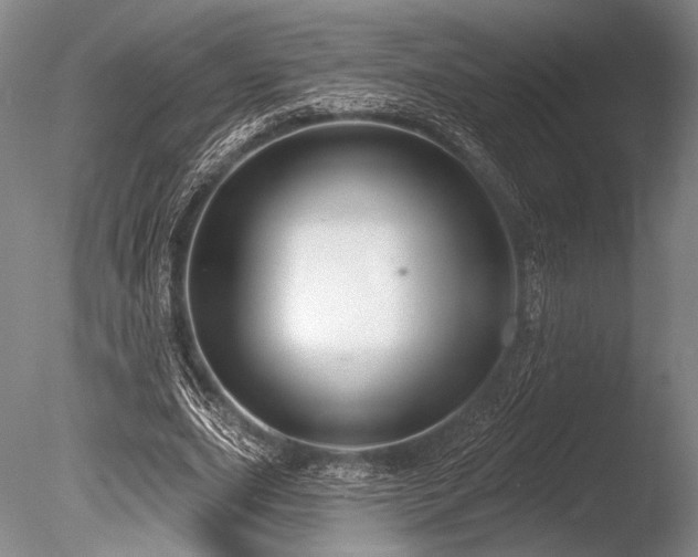 X0000086250631200703291407