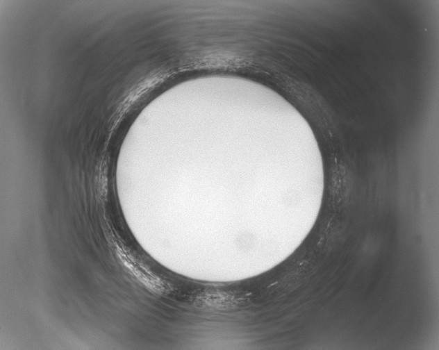 X0000086250632200703291407