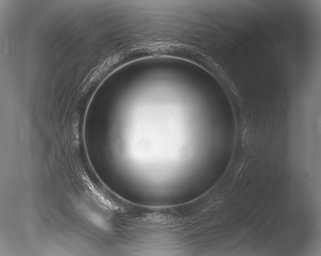 X0000086250633200703291407