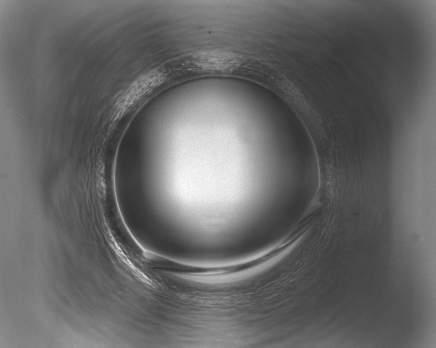 X0000086250634200703291407
