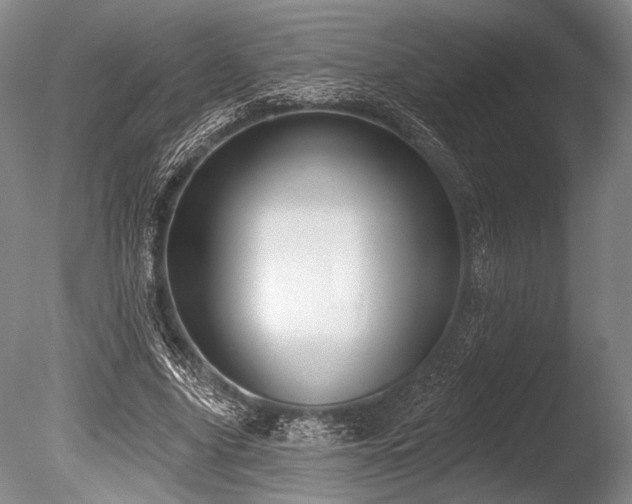 X0000086250635200703291407