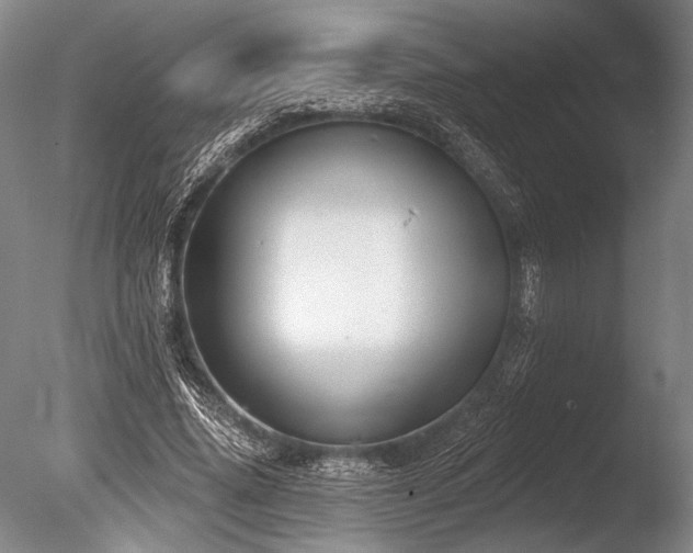 X0000086250636200703291408