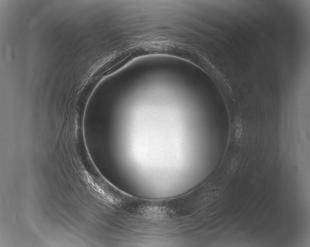 X0000086250637200703291408
