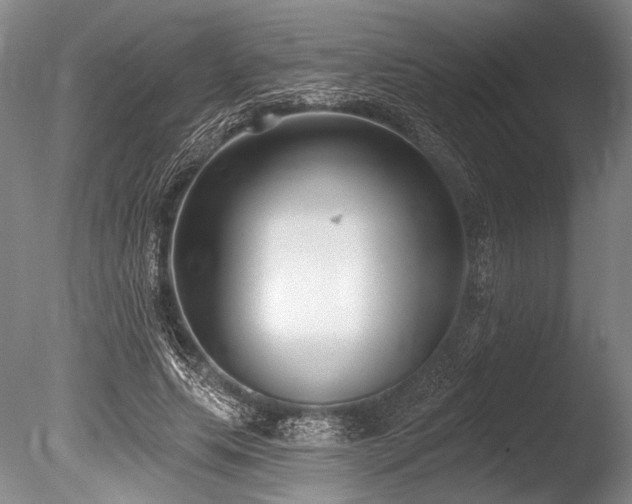 X0000086250639200703291408
