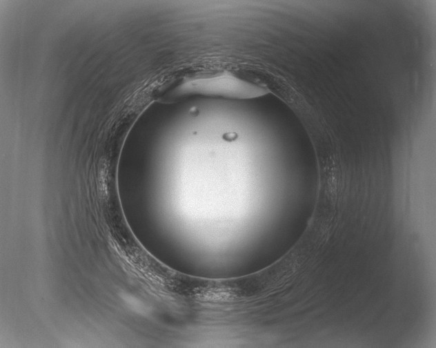 X0000086250643200703291408